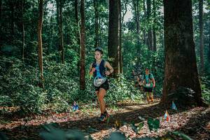 BIB: 
                            <button type="button" onclick="openModal(26130590)" class="btn btn-primary btn-sm float-right btn-popup" data-toggle="modal" data-target=".modal-high-quality">
                        <i class="fas fa-shopping-cart"></i> Add to Cart
                    </button>
                                            <button type="button" onclick="isThisMe(26130590, true)" class="btn btn-success btn-sm float-right btn-popup btn-isme hidden" data-toggle="tooltip" data-placement="bottom" title="นี่คือรูปของคุณใช่ไหม คลิกที่นี่เพื่อเอาเข้าอัลบั้ม">
                        <i class="fas fa-plus"></i> Add to album
                    </button>
                    <button type="button" onclick="isThisMe(26130590, false)" class="btn btn-warning btn-sm float-right btn-popup btn-isnotme hidden">
                        <i class="fas fa-ban"></i> Remove from album
                    </button>